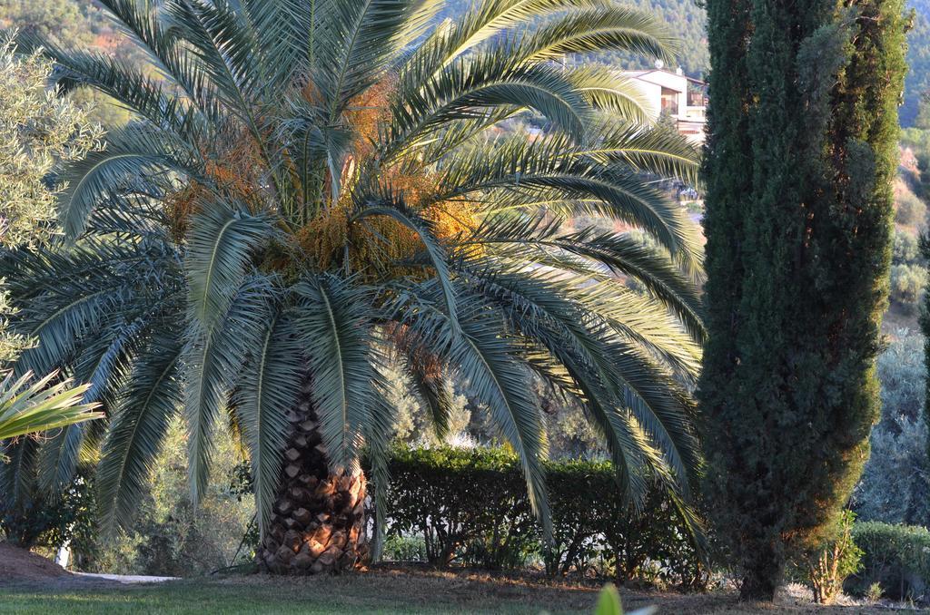 Kelyfos Hotel Neos Marmaras Esterno foto